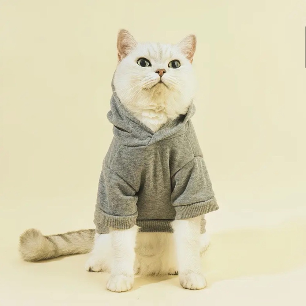 🛍️ 3 for $10 🛍️ Gray Pet Cat or Dog Hoodie Sweatshirt